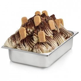 Buy online TIRAMISÙ PASTE Rubicone | box of 6 kg.-2 buckets of 3 kg. | Tiramisu is a concentrated gelato paste with the classic 