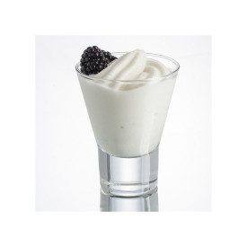 FAST YOGURT BASE 0,65 KG | Toschi | Pack: bag of 0.65 kg; Product family: soft serve and frozen yogurt | Complete product for th