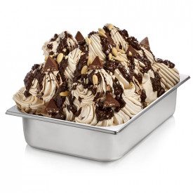 Buy online NOUGAT PASTE Rubicone | box of 8 kg. - 2 buckets of 4 kg. | Nougat is a concentrated gelato paste
