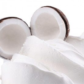 COCCO (IN POLVERE) | Toschi Vignola | Confezione: scatola da 8 kg. - 10 buste da 0,6 kg.; Tipo di prodotto: paste aromatizzanti 