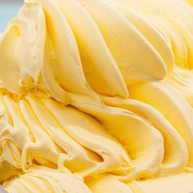 VANILLA ELIXIR ICE CREAM PASTE 4 KG - TOSCHI | Toschi | Pack: bucket of 4 kg.; Product family: flavoring pastes | Vanilla flavou