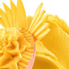 TROPICALE FAST 1,5 KG BASE GELATO - TOSCHI | Toschi | Confezione: busta da 1,5 kg; Tipo di prodotto: basi e neutri | Gelato ai f