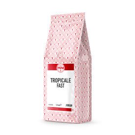 TROPICAL FAST GELATO BASE TOSCHI | Toschi Vignola | Pack: box of 9 kg. - 6 bags of 1,5 kg.; Product family: ice cream bases | Tr