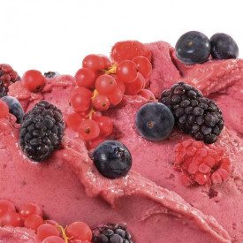 RED BERRIES FAST GELATO BASE TOSCHI | Toschi Vignola | Pack: box of 9 kg. - 6 bags of 1,5 kg.; Product family: ice cream bases |