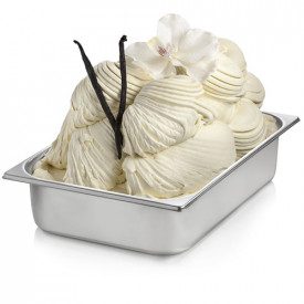 Buy online VANILLA FRENCH PASTE Rubicone | box of 6 kg.-2 buckets of 3 kg. | Vanilla FRENCH is a concentrated gelato paste with 