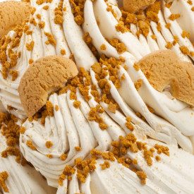 PASTA COOKIE DOUGH | Toschi | Confezione: scatola da 7 kg. - 2 lattine da 3,5 kg.; Tipo di prodotto: paste aromatizzanti | Gelat
