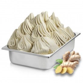 Buy online GINGER PASTE Rubicone | box of 6 kg.-2 buckets of 3 kg. | Ginger is a concentrated gelato paste with a ginger flavour
