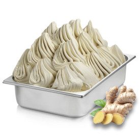 GINGER PASTE F123 | Certifications: gluten free, diary free, vegan; Pack: box of 6 kg.-2 buckets of 3 kg.; Product family: flavo