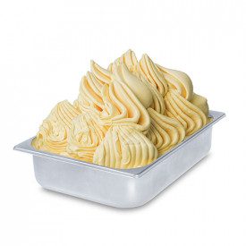Buy online ZUPPA INGLESE (TRIFLE) PASTE Rubicone | box of 6 kg.-2 buckets of 3 kg. | Zuppa Inglese is a concentrated gelato past