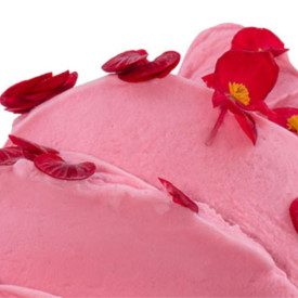 SORBET FRUIT BASE | Nutman | Certifications: gluten free, lactose free, vegan; Pack: bucket of 6 kg.; Product family: ice cream 