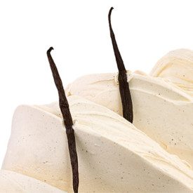 VANILLA MADAGASCAR PASTE | Nutman | Certifications: gluten free, lactose free, vegan; Pack: bucket of 5 kg.; Product family: fla