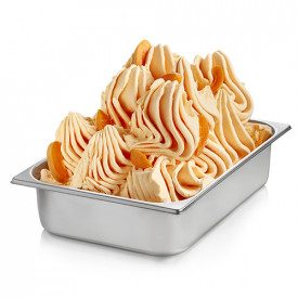 Acquista PASTA ALBICOCCA Rubicone | scatola da 6 kg. - 2 secchielli da 3 kg. | Pasta ALBICOCCA è una pasta concentrata al gusto 