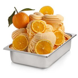 ORANGE PASTE F204 | Certifications: gluten free, diary free, vegan; Pack: box of 6 kg.-2 buckets of 3 kg.; Product family: fruit