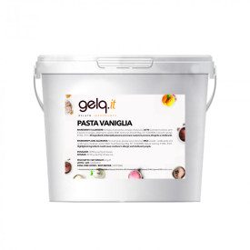 VANILLA PASTE | Gelq Ingredients | Pack: can of 6 kg.; Product family: flavoring pastes | High quality ice cream paste prepared