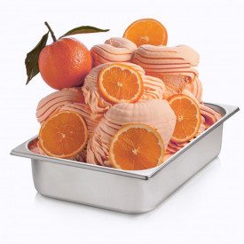 Buy online RED ORANGE PASTE Rubicone | box of 6 kg.-2 buckets of 3 kg. | Orange Sanguinella is a concentrated gelato paste with 