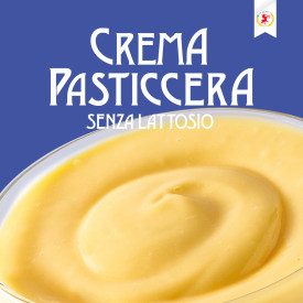 CUSTARD CREAM LACTOSE FREE 5 Kg. - ELENKA | Elenka | Certifications: lactose free; Pack: bag of 5 kg.; Product family: filling c