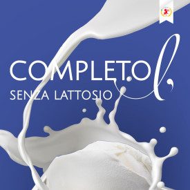 POWDERED MILK COMPLETO L LACTOSE FREE 1 KG - ELENKA | Elenka | Pack: bag of 1 kg.; Product family: ice cream bases | Milk powder