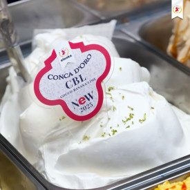 CONCA D'ORO CBL - COCCO BANANA LIME - BASE GELATO 1,5 KG - ELENKA | Elenka | Confezione: busta da 1,5 kg.; Tipo di prodotto: bas