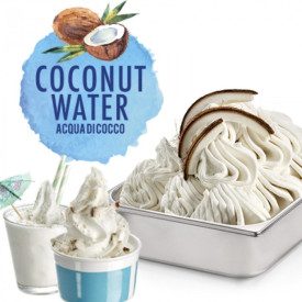 COCONUT WATER GELATO BASE | Rubicone | Pack: box of 10,4 kg. - 8 bags of 1,3 kg.; Product family: ice cream bases | Base Gelato 