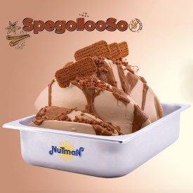 VARIEGATED SPEGOLOOSO - SPECULOOS GELATO NUTMAN 3 KG. | Nutman | Certifications: gluten free; Pack: bucket of 3 kg.; Product fam