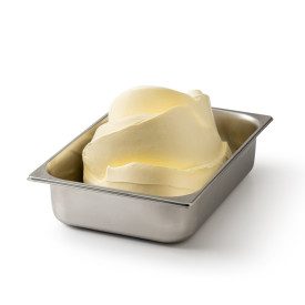 EASY FLORENTINE CUSTARD 1 KG READY ICE CREAM BASE - LEAGEL | Leagel | Pack: bag of 1 kg.; Product family: ice cream bases | The 