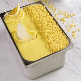 READY TO CRUMBLE LEMON 2.5 KG - MARTINI GELATO | Martini Gelato | Certifications: halal, gluten free; Pack: jar of 2,5 kg.; Prod