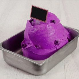 BASE EASY FRUTTI DI BOSCO