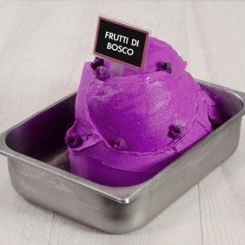 BASE EASY FRUTTI DI BOSCO | Leagel | Certificazioni: senza glutine; Confezione: busta da 1,25 kg.; Tipo di prodotto: basi e neut