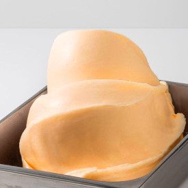 PASTA ALBICOCCA | Leagel | Certificazioni: senza glutine; Confezione: secchiello da 3,5 kg.; Tipo di prodotto: paste aromatizzan