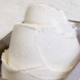 COCONUT PASTE 320705 | Certifications: gluten free; Pack: bucket of 3,5 kg.; Product family: fruit pastes | Coconut ice cream pa