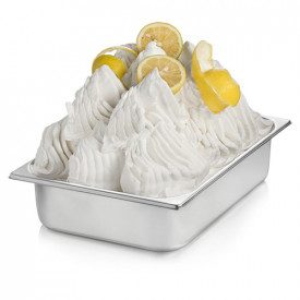 Buy online LEMON PASTE Rubicone | box of 6 kg.-2 buckets of 3 kg. | Lemon paste is a concentrated gelato paste made with lemon.