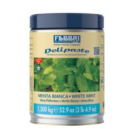 DELIPASTE WHITE MINT 1.50 KG - FABBRI | Fabbri | Certifications: kosher, gluten free; Pack: can of 1,5 kg.; Product family: flav
