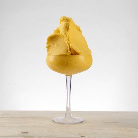 FORTEFRUTTO FRUTTO DELLA PASSIONE C PREGEL 3 KG. - PASTA GELATO MARACUJA | PreGel | Certificazioni: senza glutine, senza olio di