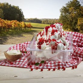 ARABESCHI RED BERRY PREGEL 3 KG. - GELATO VARIEGATE | PreGel | Certifications: gluten free, vegan; Pack: bucket of 3 kg.; Produc