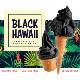 Buy online BASE BLACK HAWAII Rubicone | box 11.6 kg.-8 bags of 1.45 kg. | Innovative base for black gelato, coconut and cocoa be