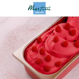 RASPBERRY FRUTTUP ICE CREAM BASE - MARTINI LINEA GELATO | Martini Gelato | Certifications: halal, additives free, gluten free, d