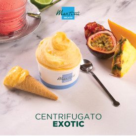 CENTRIFUGED EXOTIC - MARTINI LINEA GELATO | Martini Gelato | Pack: bag of 1,25 kg.; Product family: ice cream bases | Powder bas