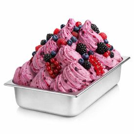 BERRIES PASTE - SOFT FRUITS | Rubicone | Certifications: halal, kosher, gluten free, diary free, vegan; Pack: box of 6 kg.-2 buc