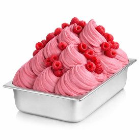 RASPBERRY PASTE NO SEEDS F253 | Certifications: halal, kosher, gluten free, diary free, vegan; Pack: box of 6 kg.-2 buckets of 3