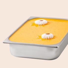 LOVERIA CRUNCHY MANGO 5 KG. - CREMINO GELATO LEAGEL | Leagel | Certificazioni: senza glutine; Confezione: secchiello da 5 kg.; T