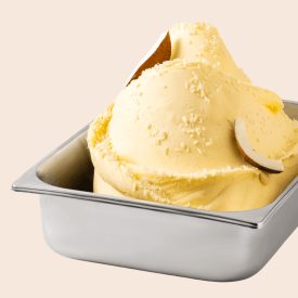 YUZU, COCONUT AND LEMON 1.25 KG. - FRUITY & VEGGY GELATO BASE LEAGEL | Leagel | Certifications: gluten free, vegan; Pack: bag of