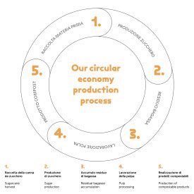 SOFFIO 500 - TAKEAWAY ICE CREAM TUB IN CELLULOSE PULP - 50 PCS - DOMOGEL | Domogel | Certifications: compostable; Pack: box of 5