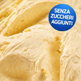 PASTA VANIGLIA BOURBON SENZA ZUCCHERI AGGIUNTI 3 KG - MARTINI GELATO | Martini Gelato | Certificazioni: senza glutine, senza lat