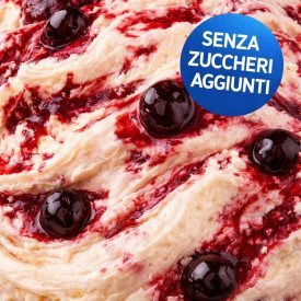 VARIEGATO AMARENA SENZA ZUCCHERI AGGIUNTI 3 KG - MARTINI GELATO | Martini Gelato | Certificazioni: halal, kosher, senza glutine,
