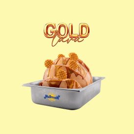 GOLD LAVA SALTED CARAMEL BASE - NUTMAN | Nutman | Certifications: gluten free, diary free; Pack: box of 7,2 kg. - 6 bags of 1,2 
