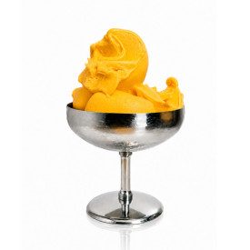 FRUTTAVIVA MANGO 1,2 KG. - BASE NATURALE SORBETTO CON FRUTTA CRIOESSICCATA | De' Gusto Lab | Certificazioni: senza additivi, sen