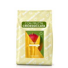 FRUTTAVIVA MANGO 1,2 KG. - BASE NATURALE SORBETTO CON FRUTTA CRIOESSICCATA | De' Gusto Lab | Certificazioni: senza additivi, sen