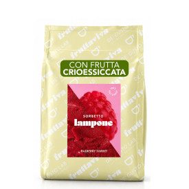 FRUTTAVIVA RASPBERRY 1.2 KG - NATURAL SORBET BASE WITH FREEZE-DRIED FRUIT | De' Gusto Lab | Certifications: additives free, glut