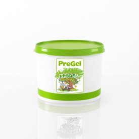 ARABESCHI HAZELNUT BISCUIT ZERO SUGAR PREGEL 3 KG. - VARIEGATE | PreGel | Certifications: sugar free; Pack: bucket of 3 kg.; Pro