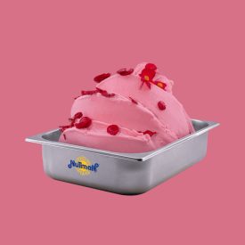 EXTRA FRUIT BASE 100 8BFEXT | Certifications: gluten free, diary free; Pack: box of 10 kg. - 5 bags of 2 kg.; Product family: ic